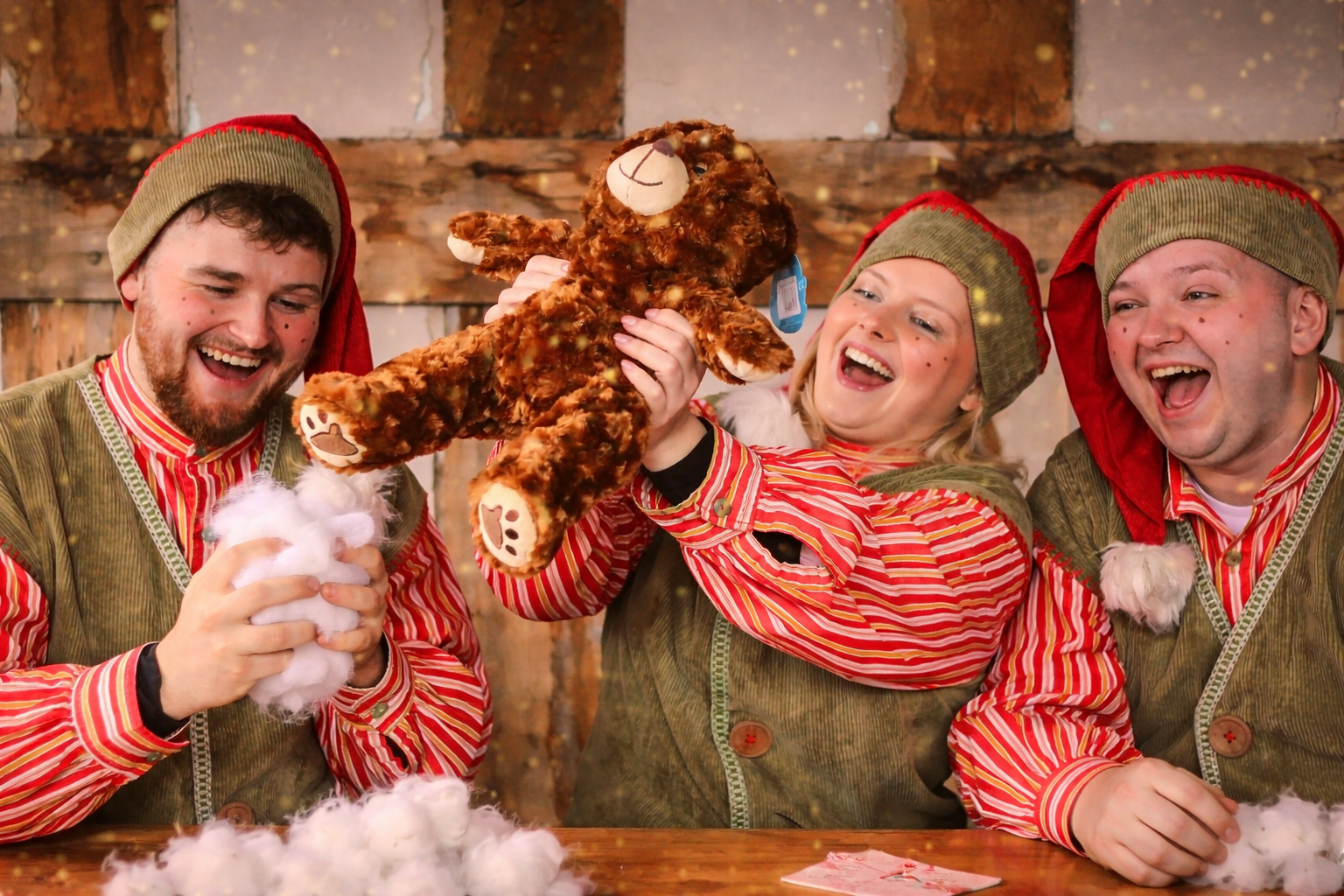 bearandelves